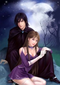 金牌甜妻,总裁宠婚1314