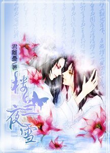 楼兰夜雪