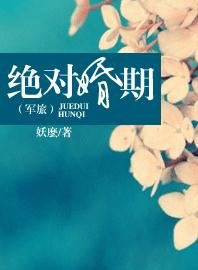 绝对婚期（军旅）
